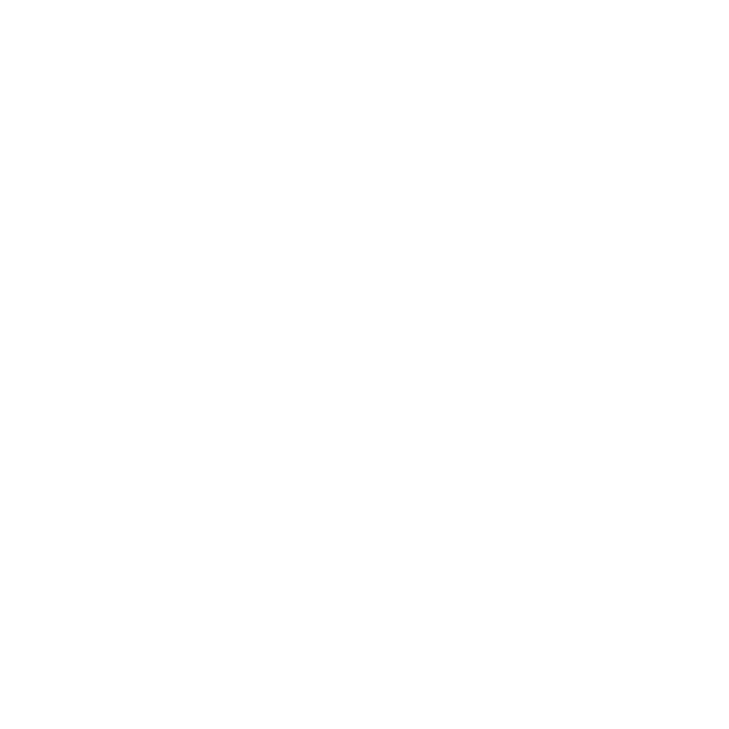 Logo Ford in white on transparent background